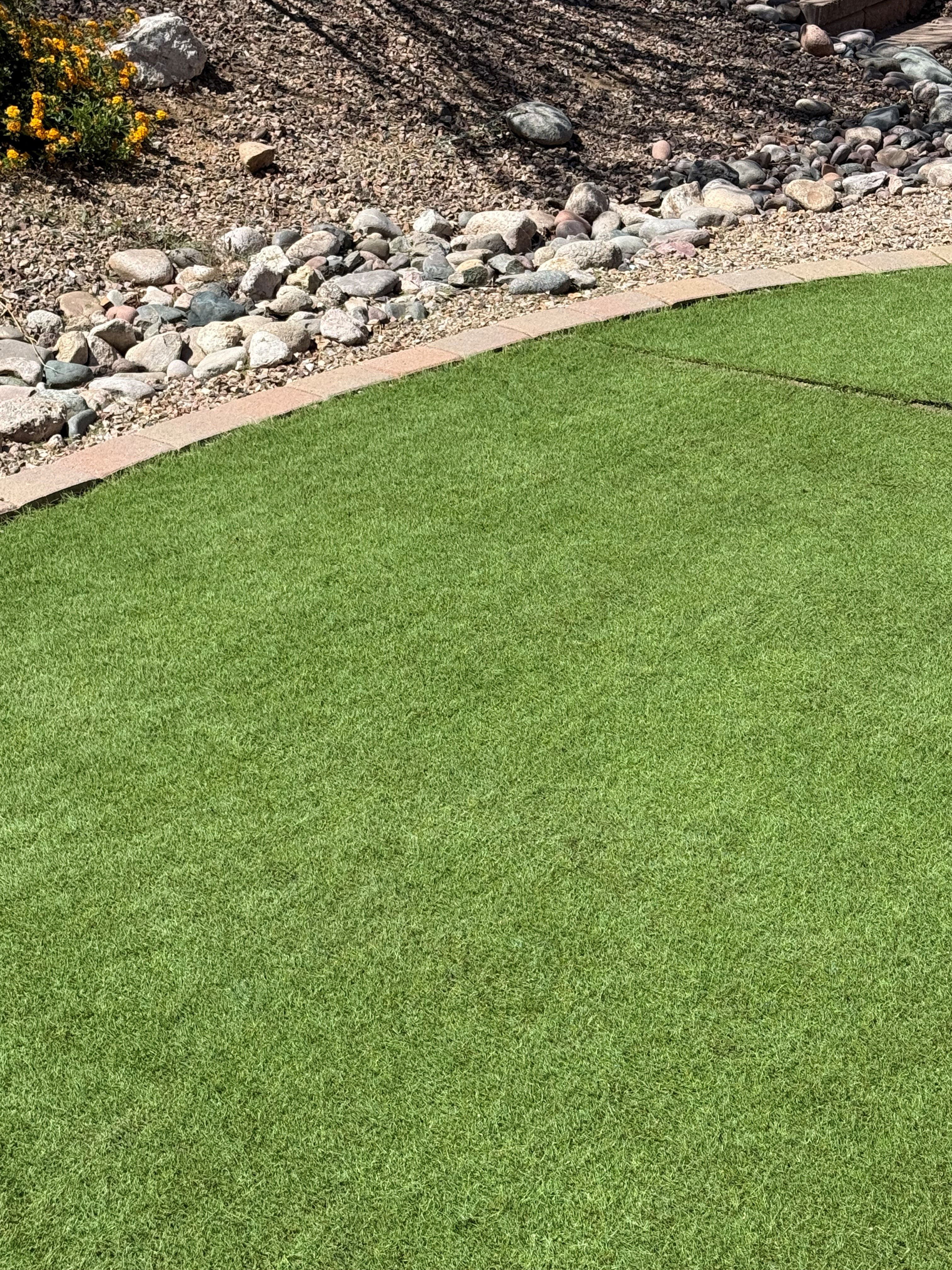 A clean, well-maintained Tucson backyard